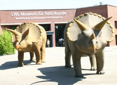 Museum-für-Naturkunde-2.jpg